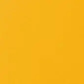 51 GIRASOLE